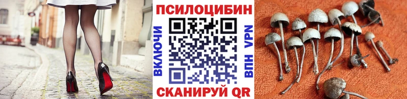 Псилоцибиновые грибы GOLDEN TEACHER  omg как зайти  Салехард 